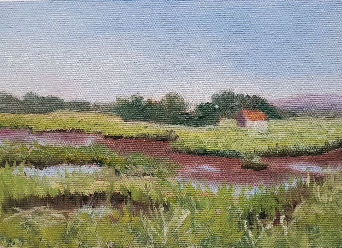 Low Tide on a Parker River Marsh by Sharon Allen 