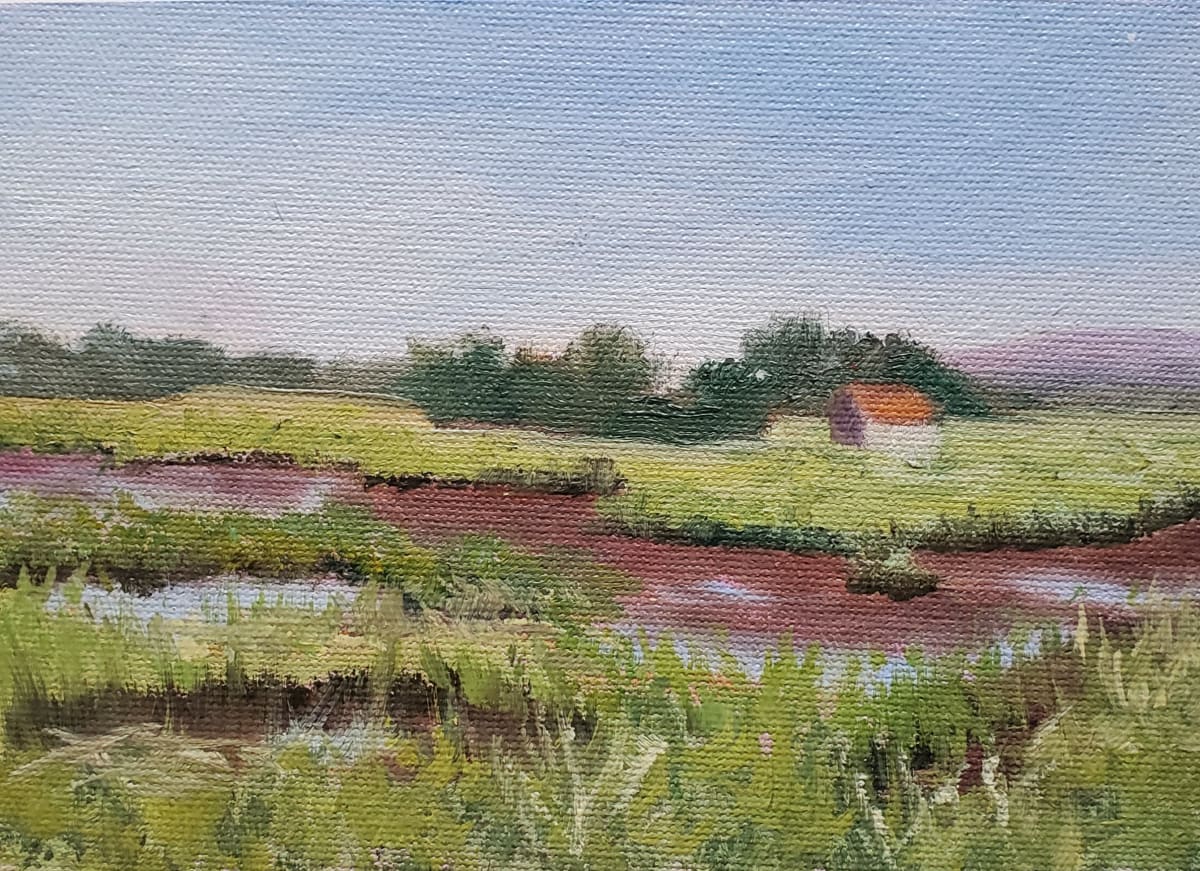 Low Tide on a Parker River Marsh 