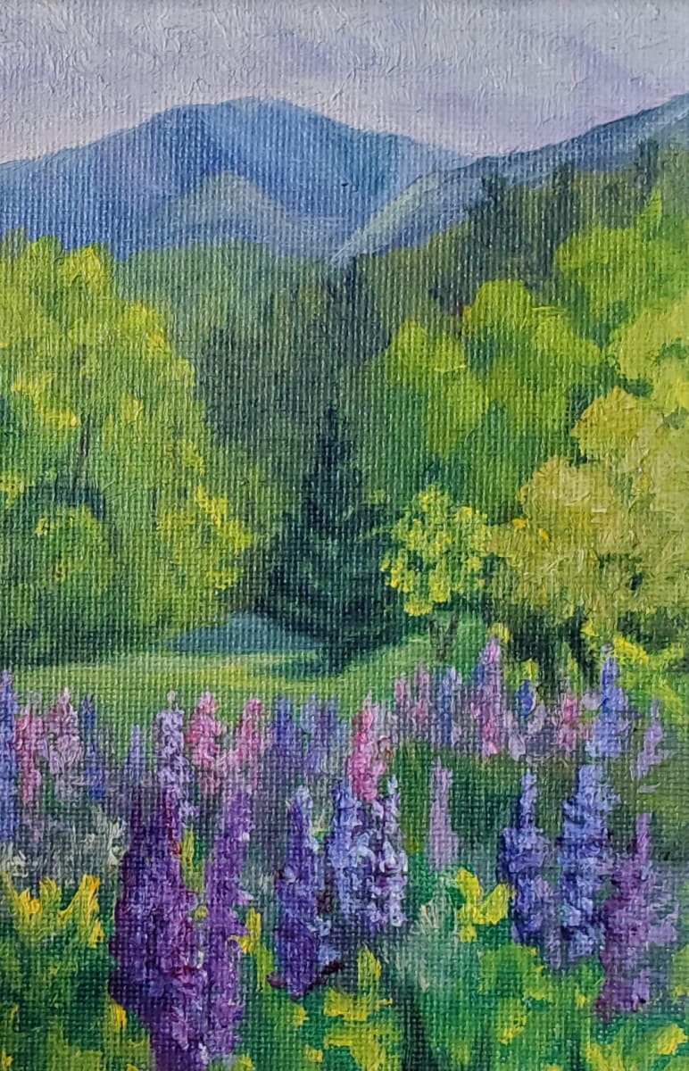 Lupines & Lafayette 