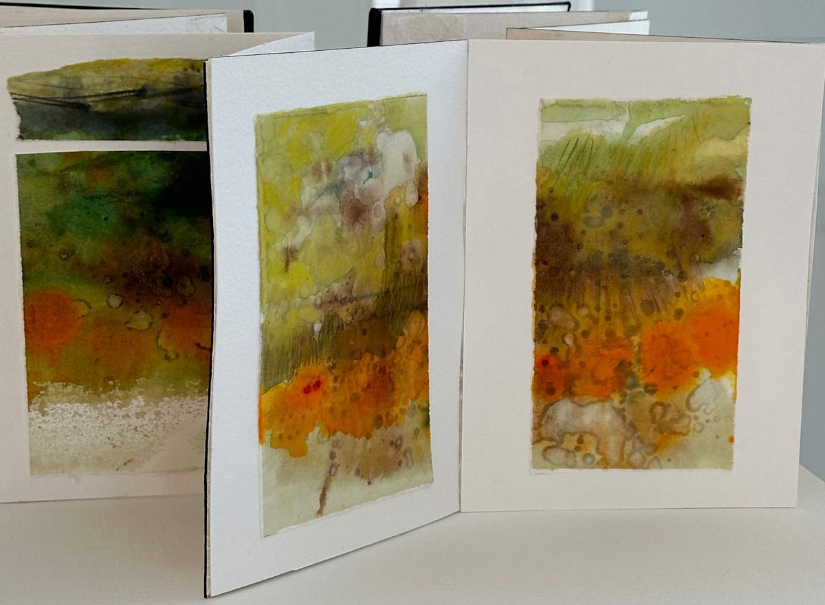 Many sunsets by Marilyn Valiente  Image: side view 