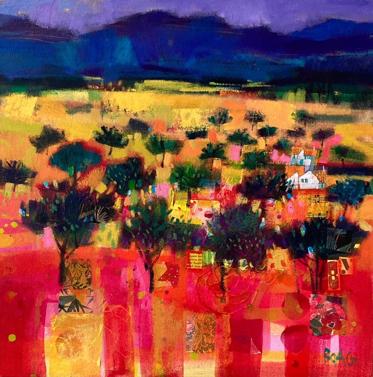 Olive trees, Andalusia by francis boag 