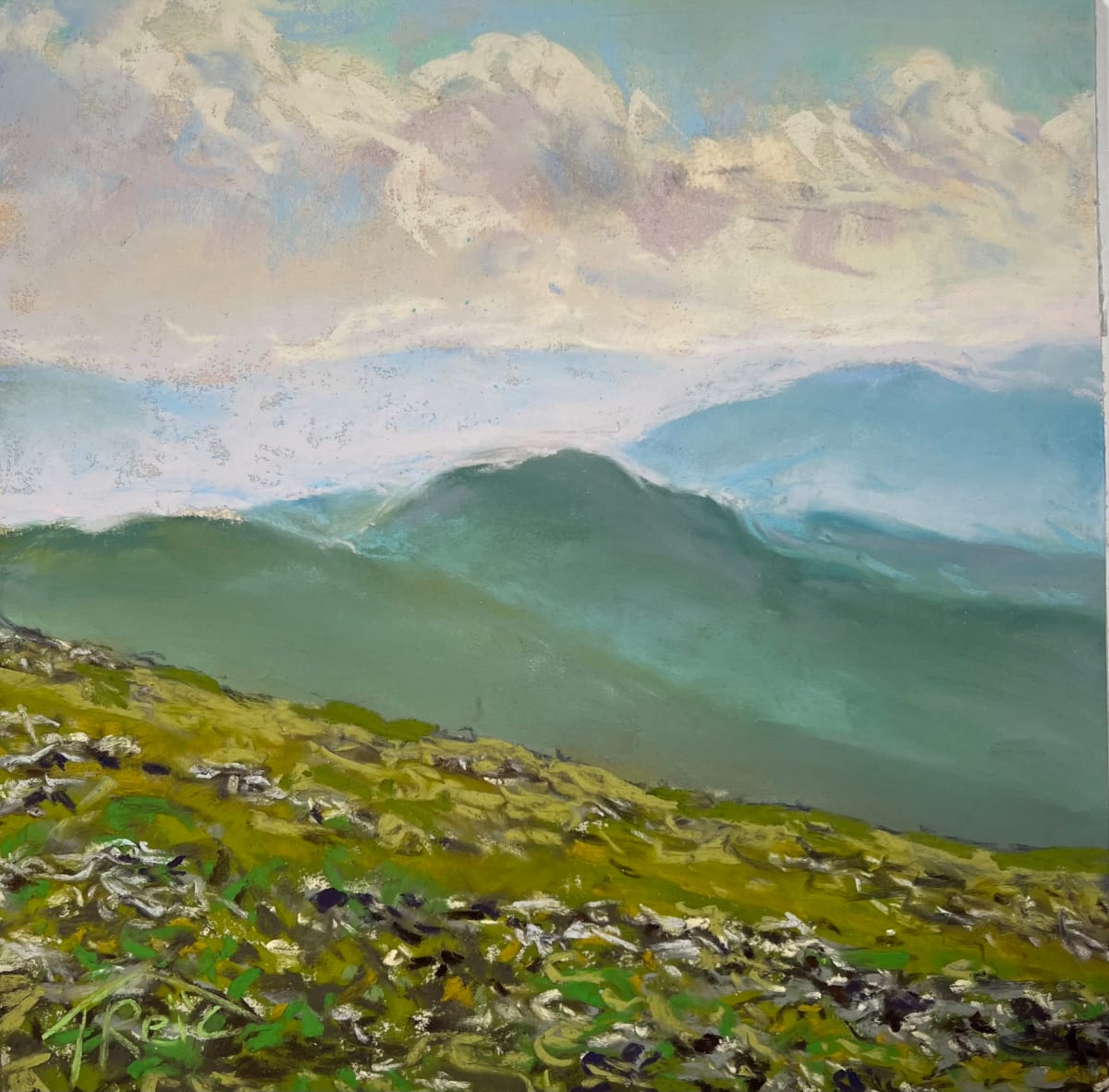 2023/34.         TOP VIEW by Toby Reid 