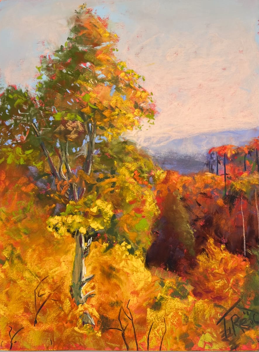 2022/109.     MOUNTAIN COLORS by Toby Reid 