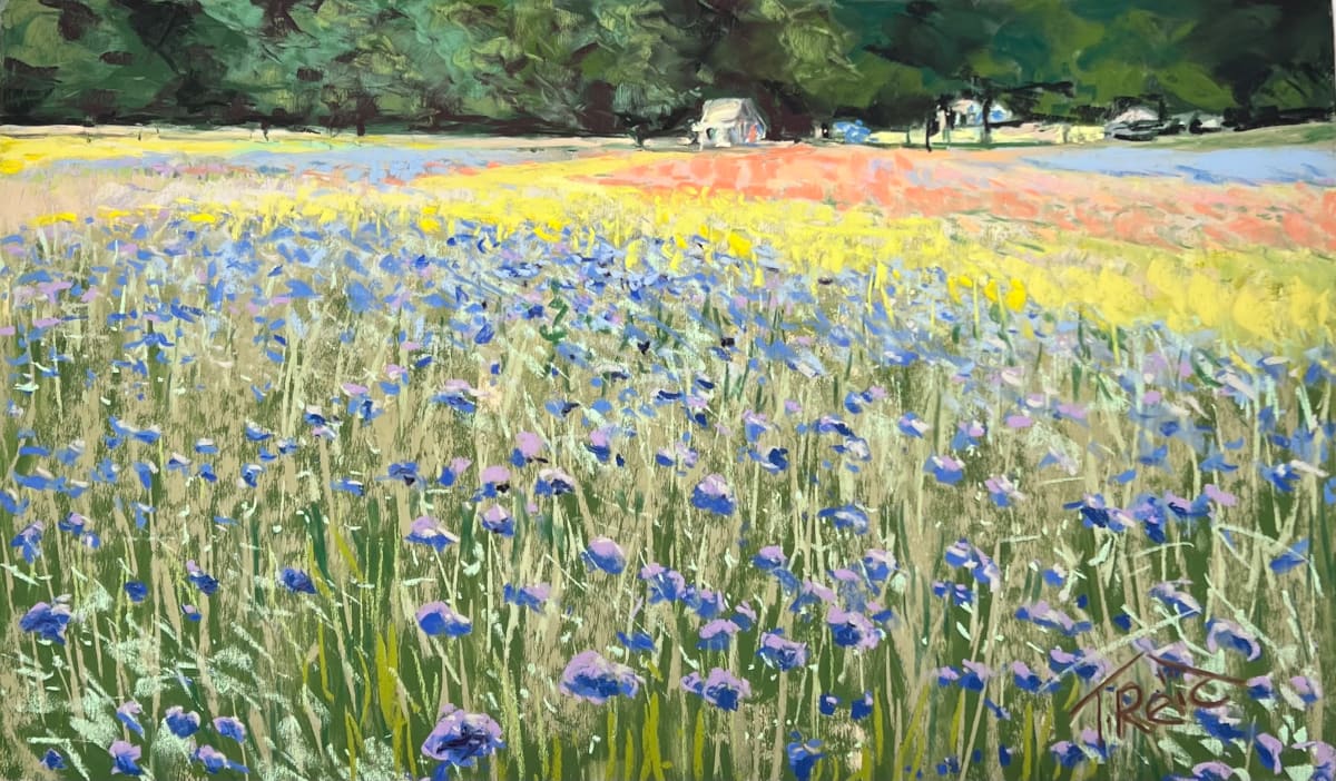 2023/1.   FLOWER FIELD by Toby Reid 