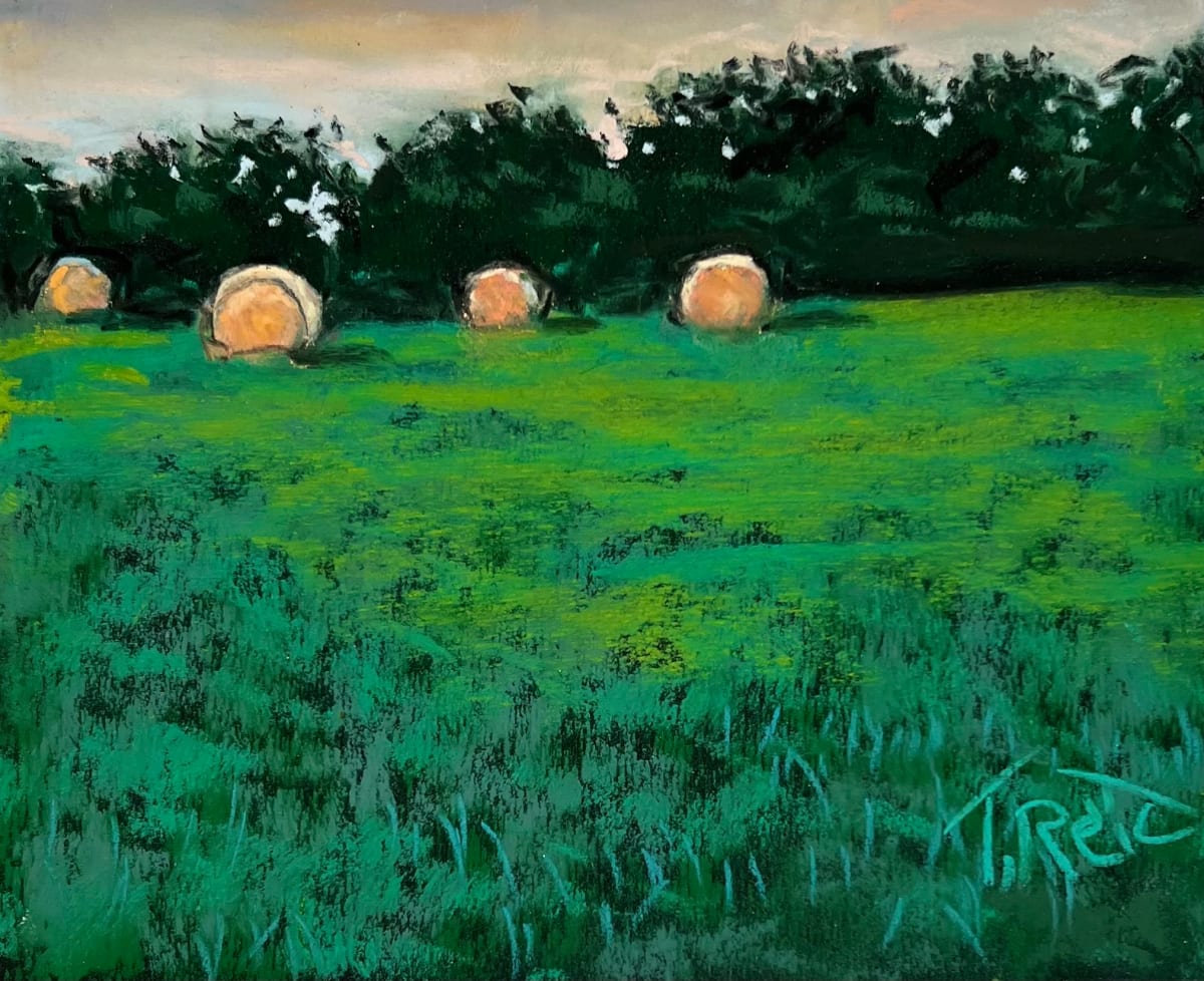 2023/26.       BALES by Toby Reid 