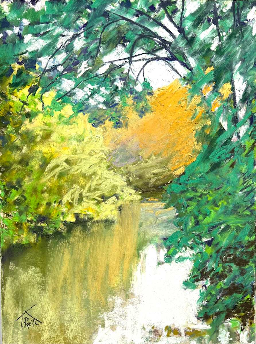 25/ e  SLEEPY COLORS ON THE CAHABA by Toby Reid 