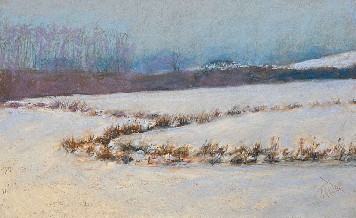 25/16. BRUSH PATTERNS IN THE SNOW FIEKD by Toby Reid 