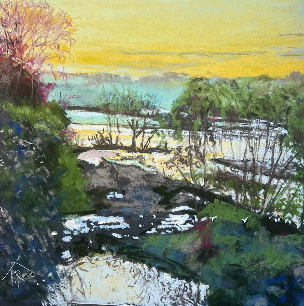 2025/42. AFTER THE RAINS by Toby Reid 