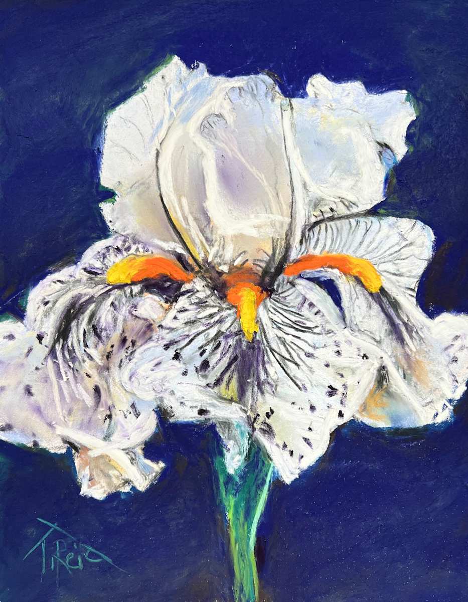 2025/77. GARDEN SURPRISE by Toby Reid, Image 1.