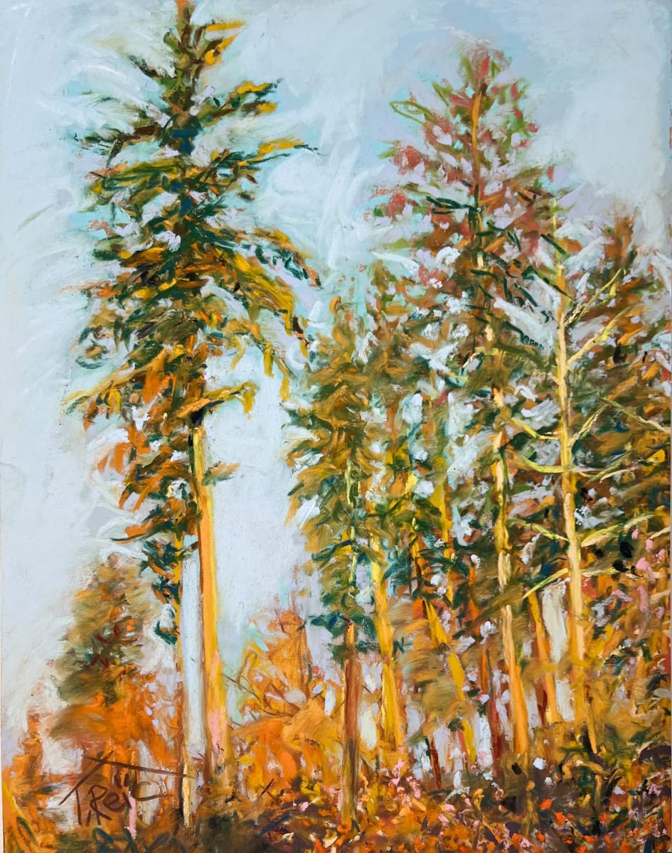2034/02.    GEORGIA PINES by Toby Reid, Image 1.