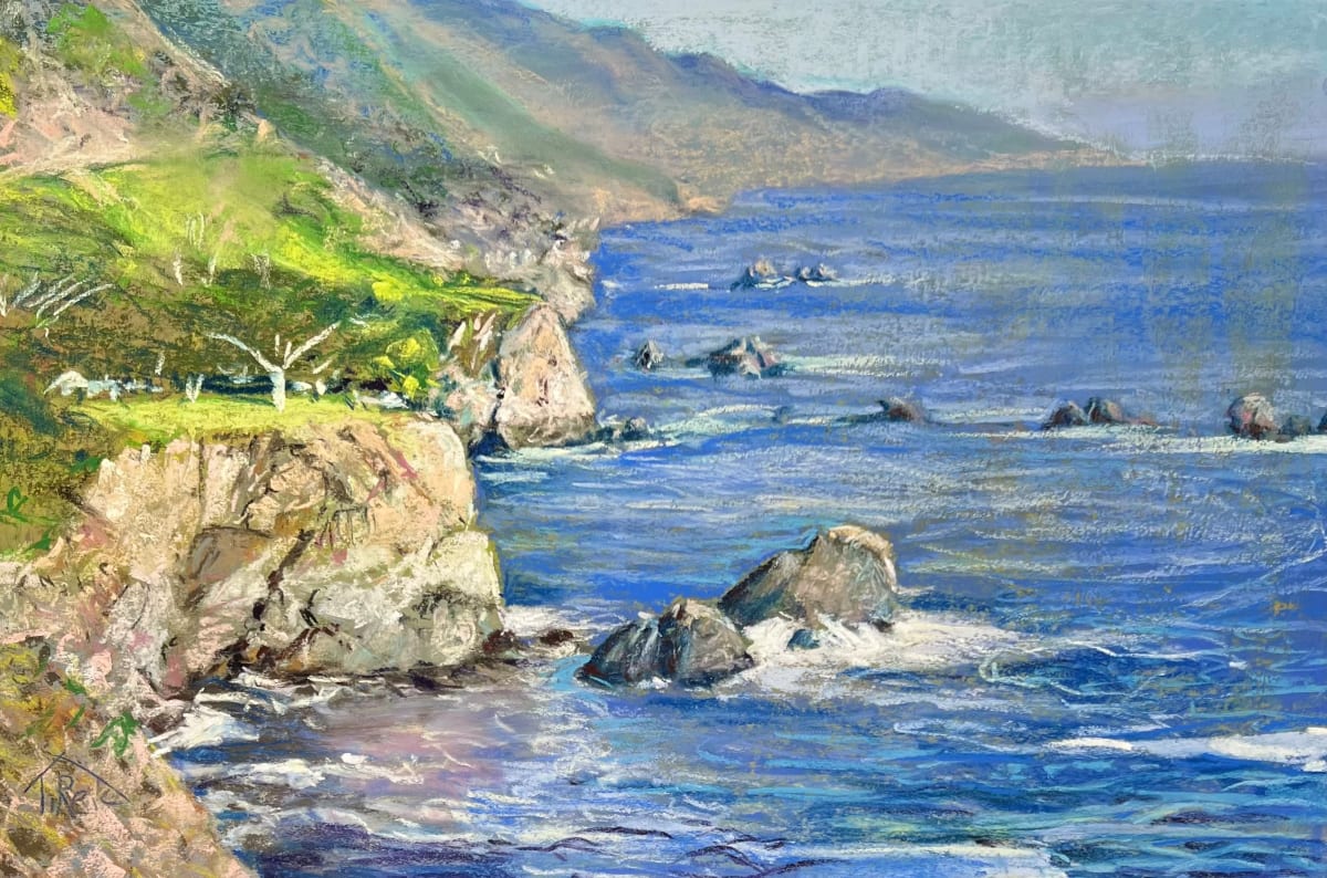 24/30.   DOWN THE COAST by Toby Reid 