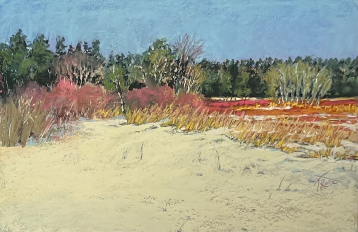 24/51   TYBEE ISLAND DUNES by Toby Reid, Image 1.