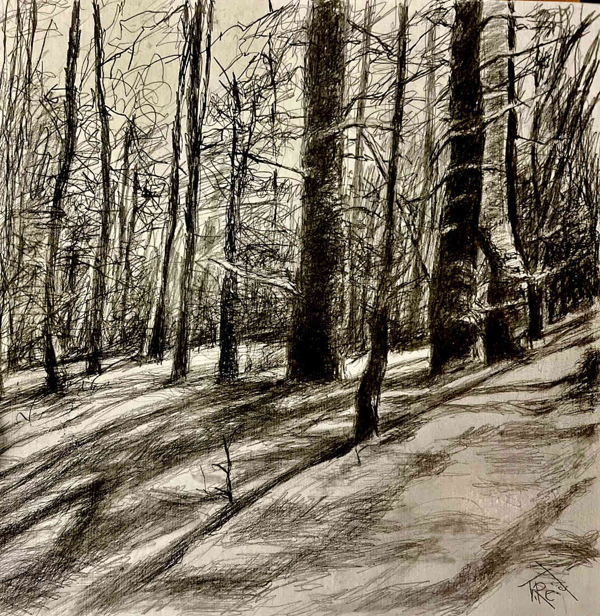 2026/42. Forest Shadow Trails by Toby Reid, Image 1.