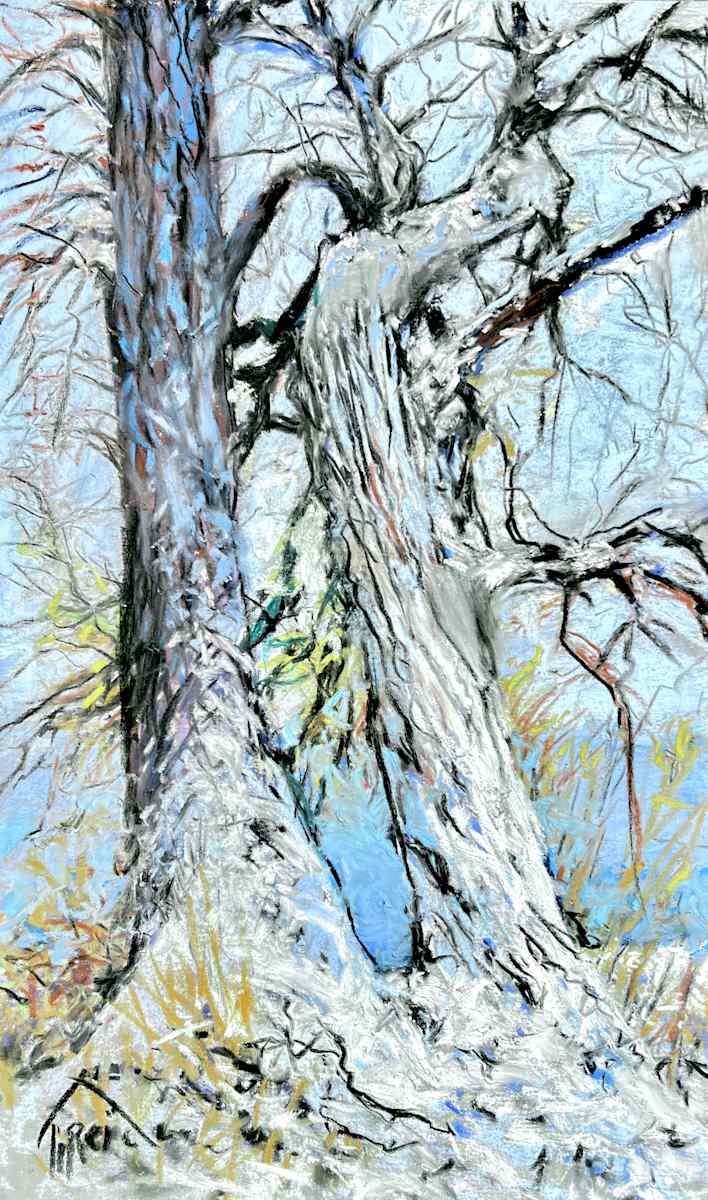 2026/tree. Old Friends by Toby Reid, Image 1.