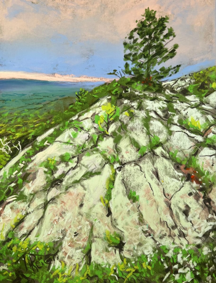 24/129.  TOP OF OAK MOUNTAIN by Toby Reid 