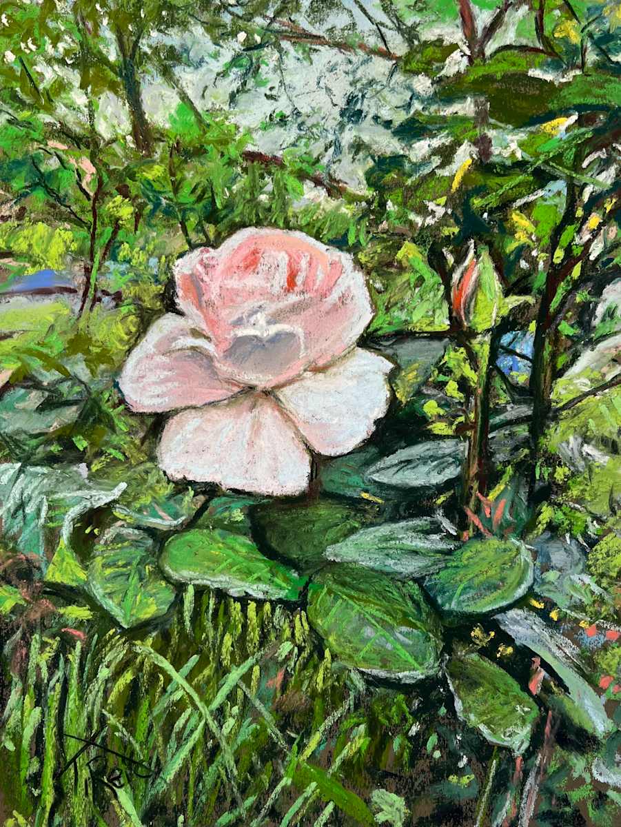 24/194   ROSE AND BUD by Toby Reid 