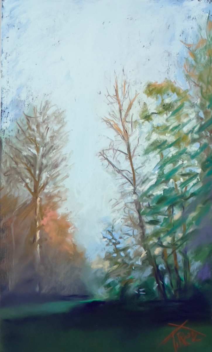 24/221.  WHEN THE MORNING COMES by Toby Reid 