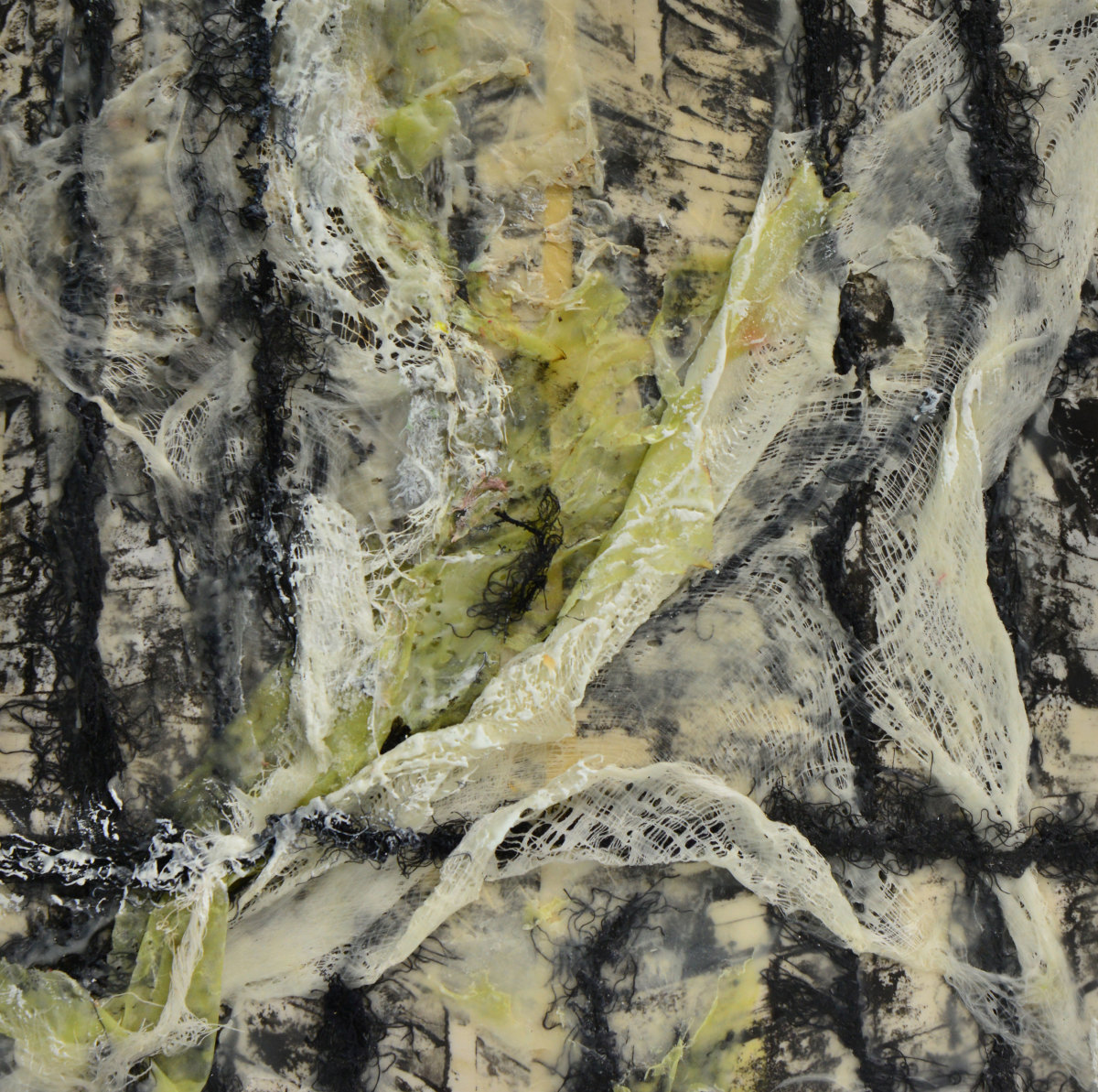 Lace by Roberta Smigel 