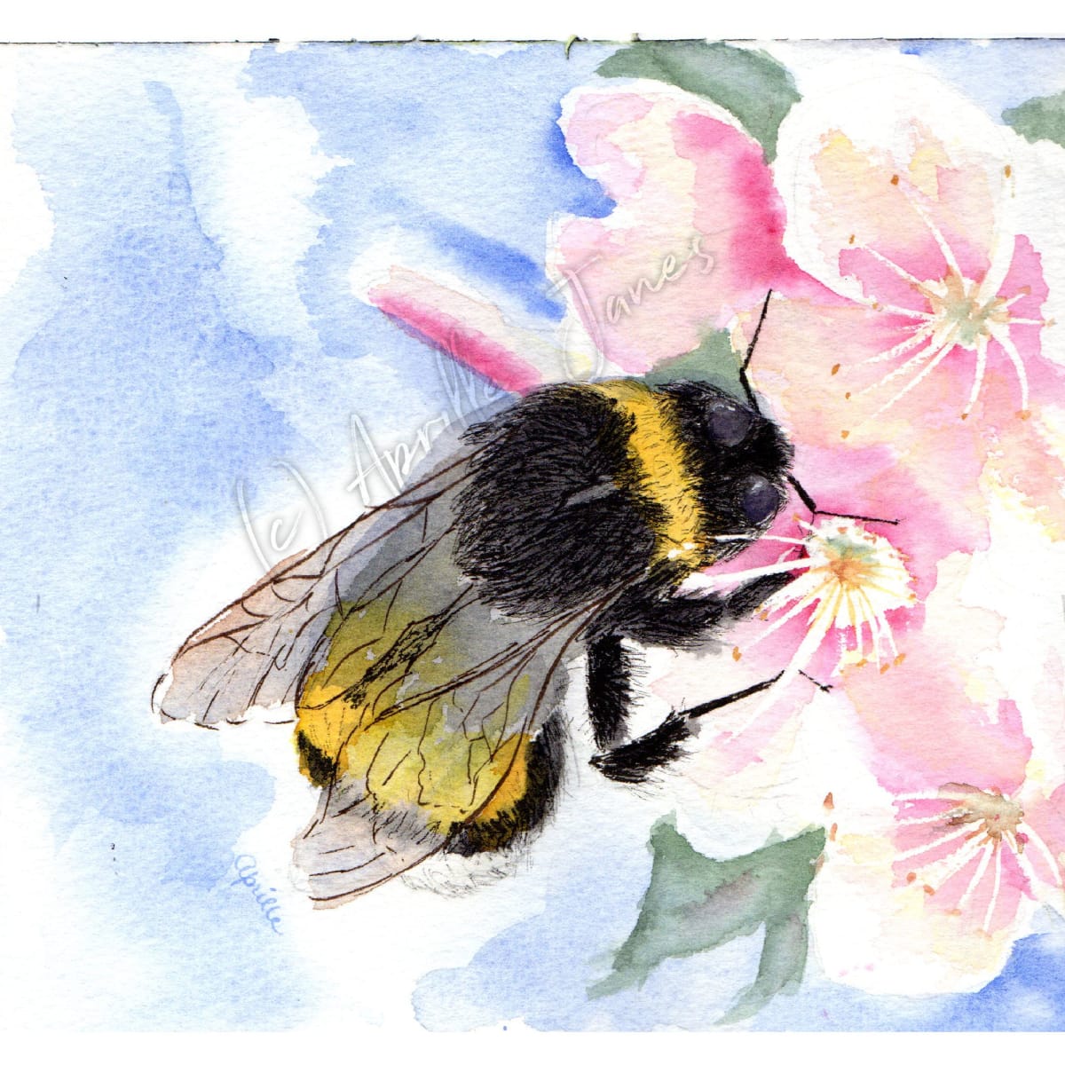 Bee Rosy by Aprille Janes 