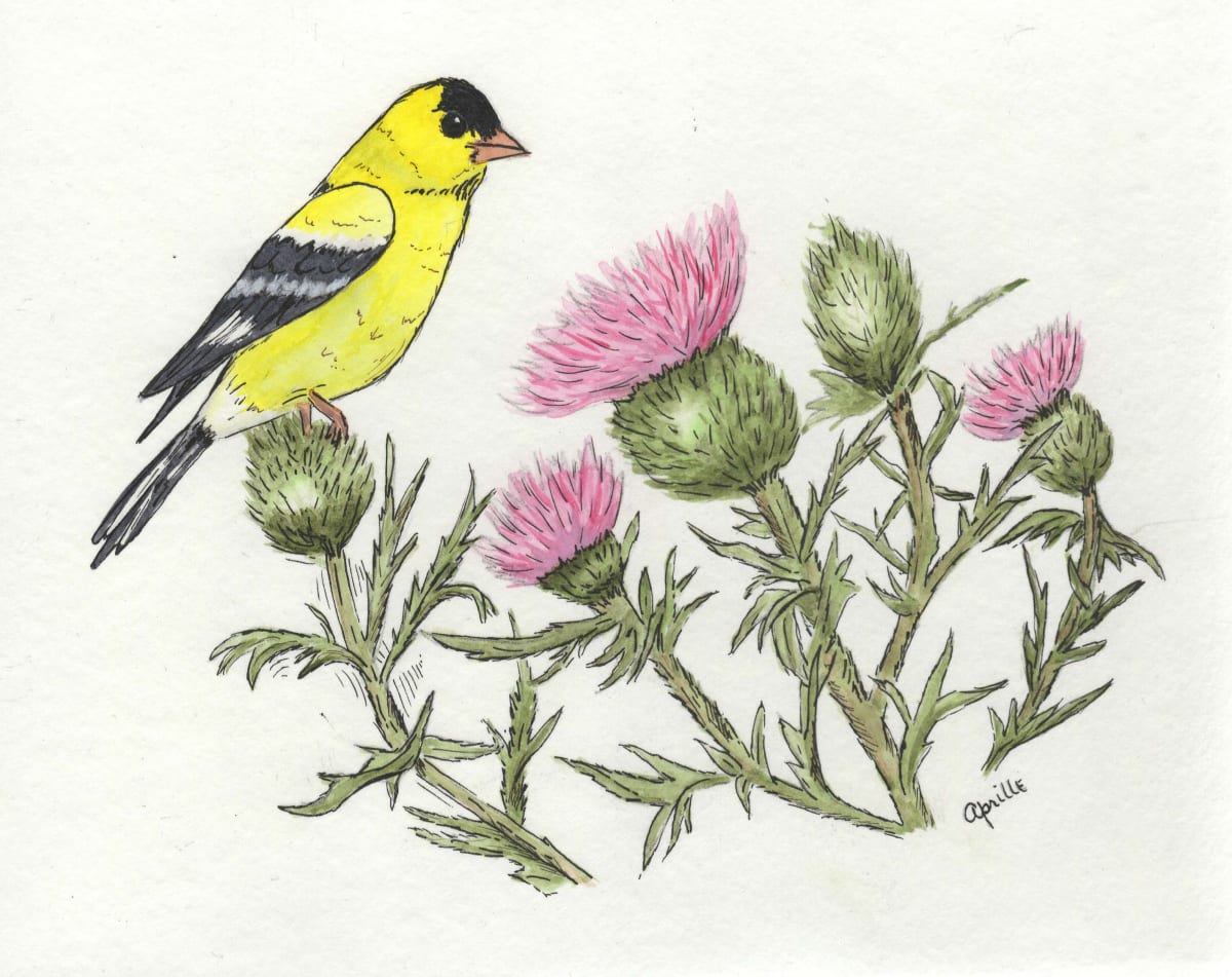 Goldfinch and Thistle by Aprille Janes 