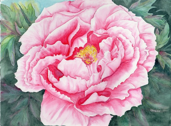 Pretty in Pink by Aprille Janes 