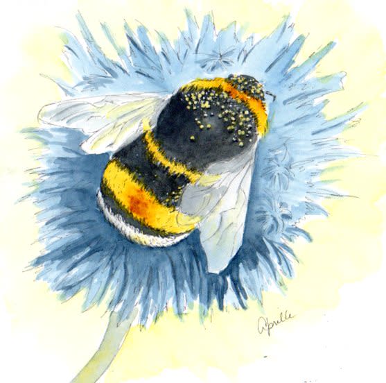 Just Bee by Aprille Janes 