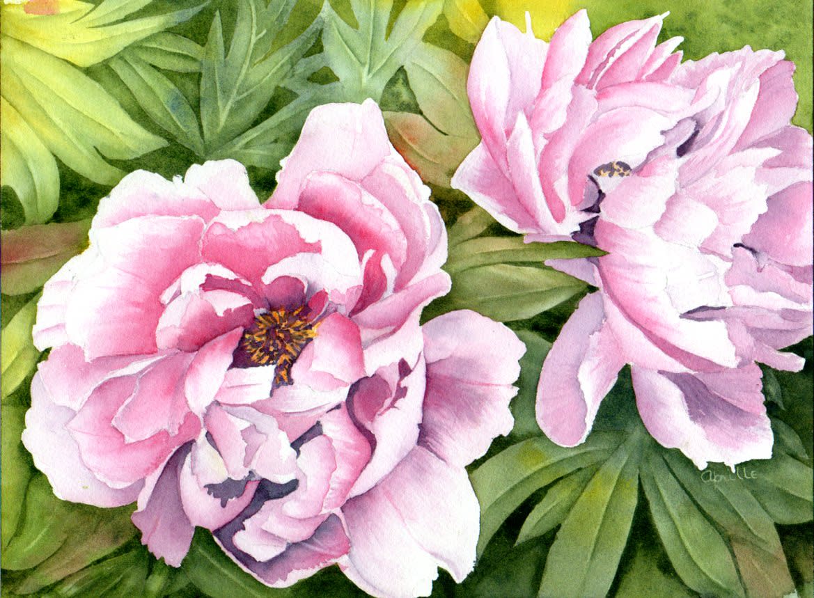 Annapolis Peony by Aprille Janes 