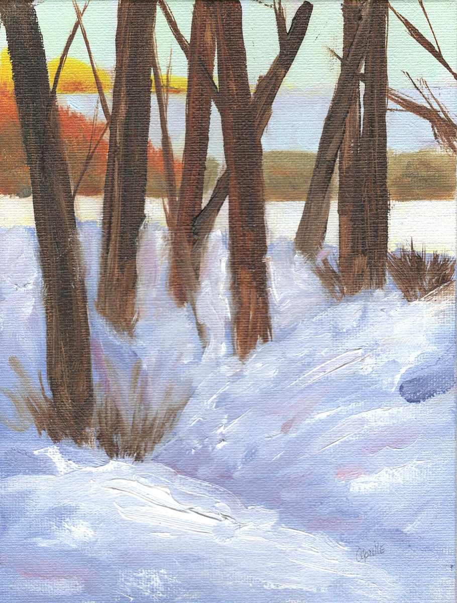Winter Shadows by Aprille Janes 