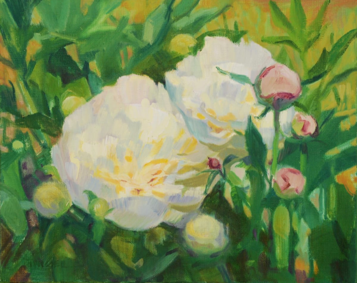 Blossoms and Buds - Peonies by Phoebe Twichell Peterson 