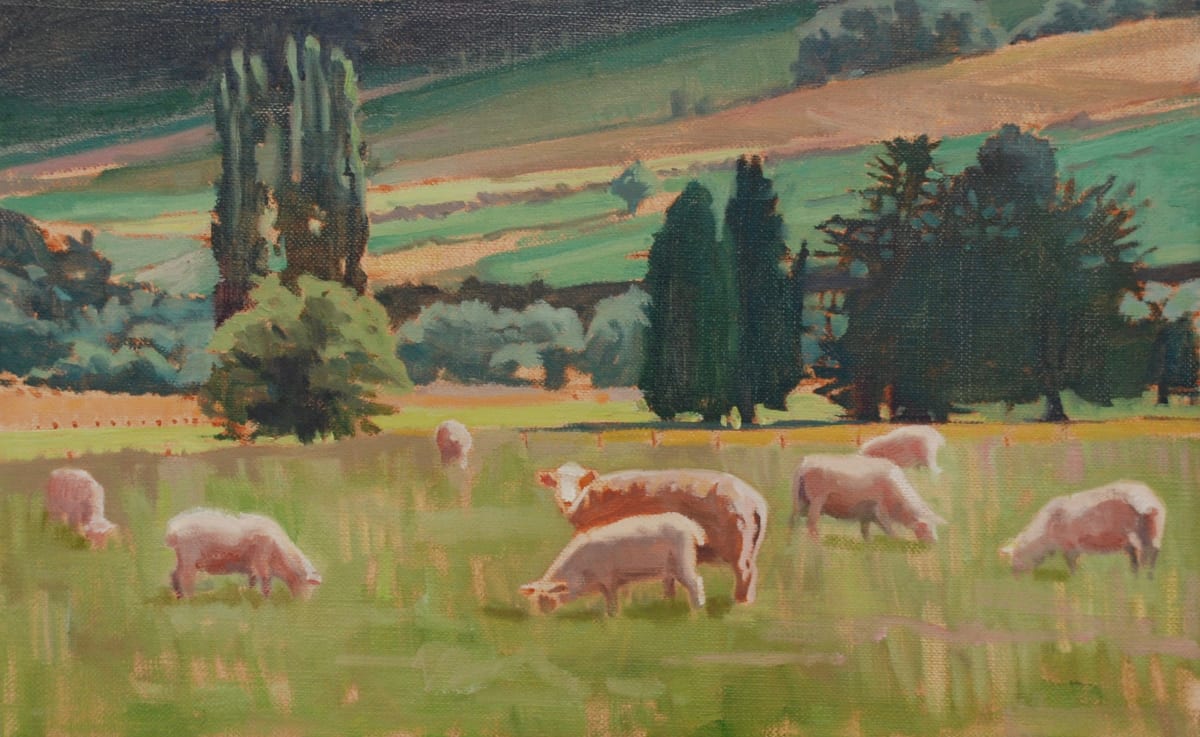 New Zealand Sheep by Phoebe Twichell Peterson 