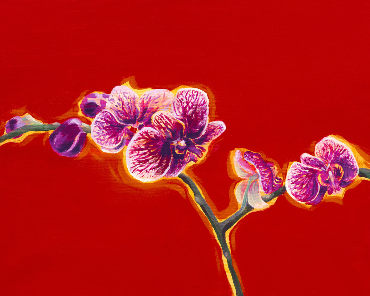 Orchid Blessings (Limited Edition on Paper) by Joanne Probyn 