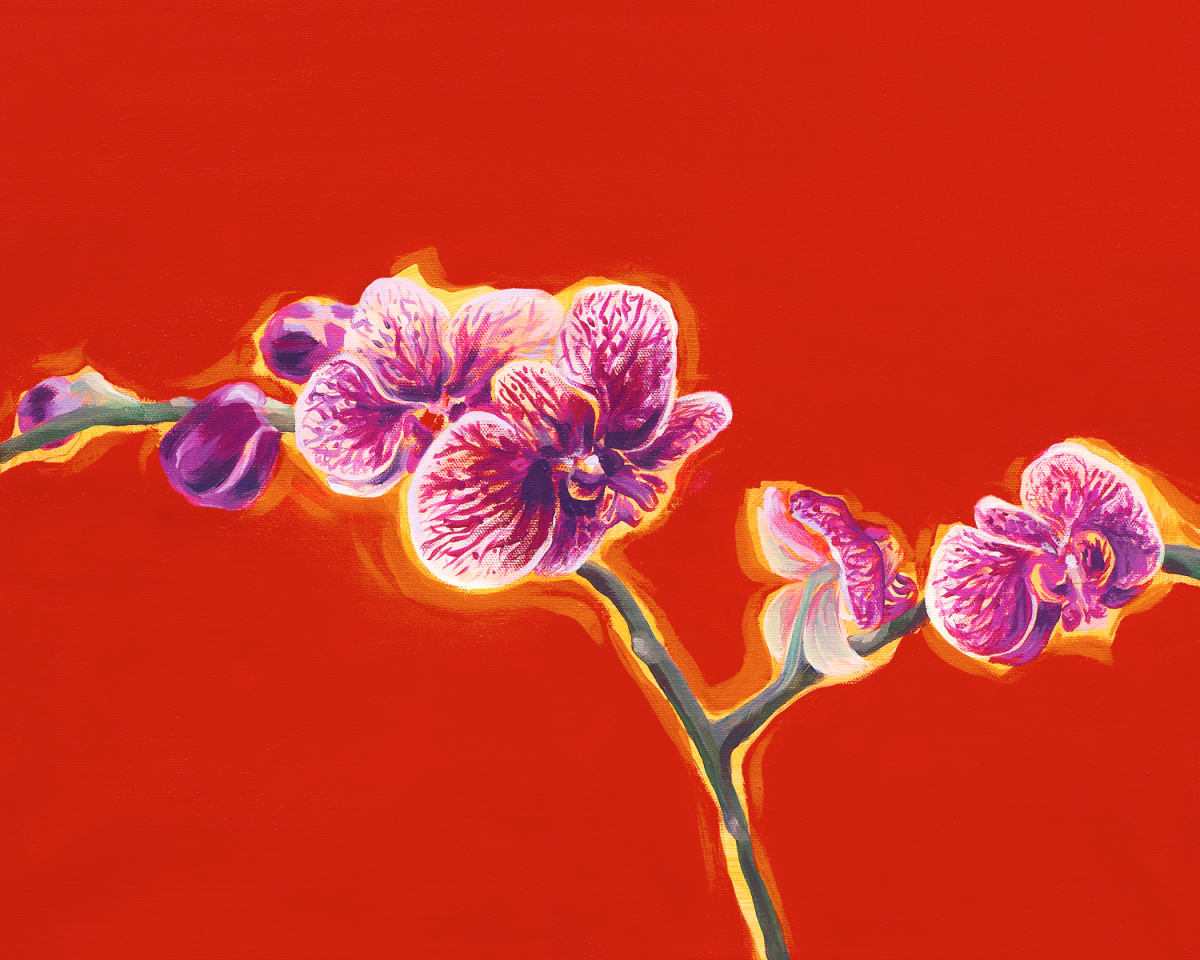 Orchid Blessings by Joanne Probyn 