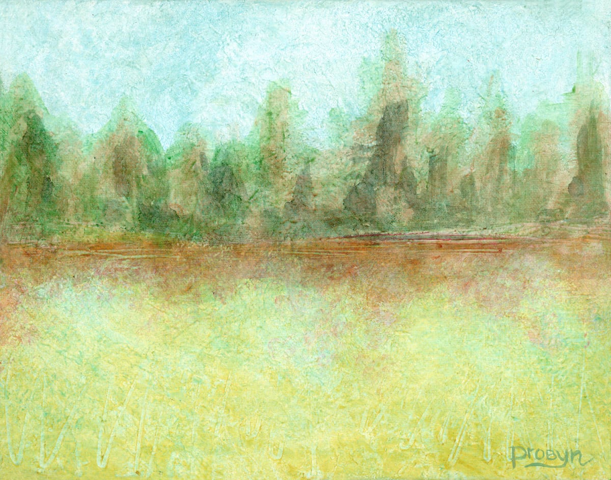 Peaceful Forest by Joanne Probyn 