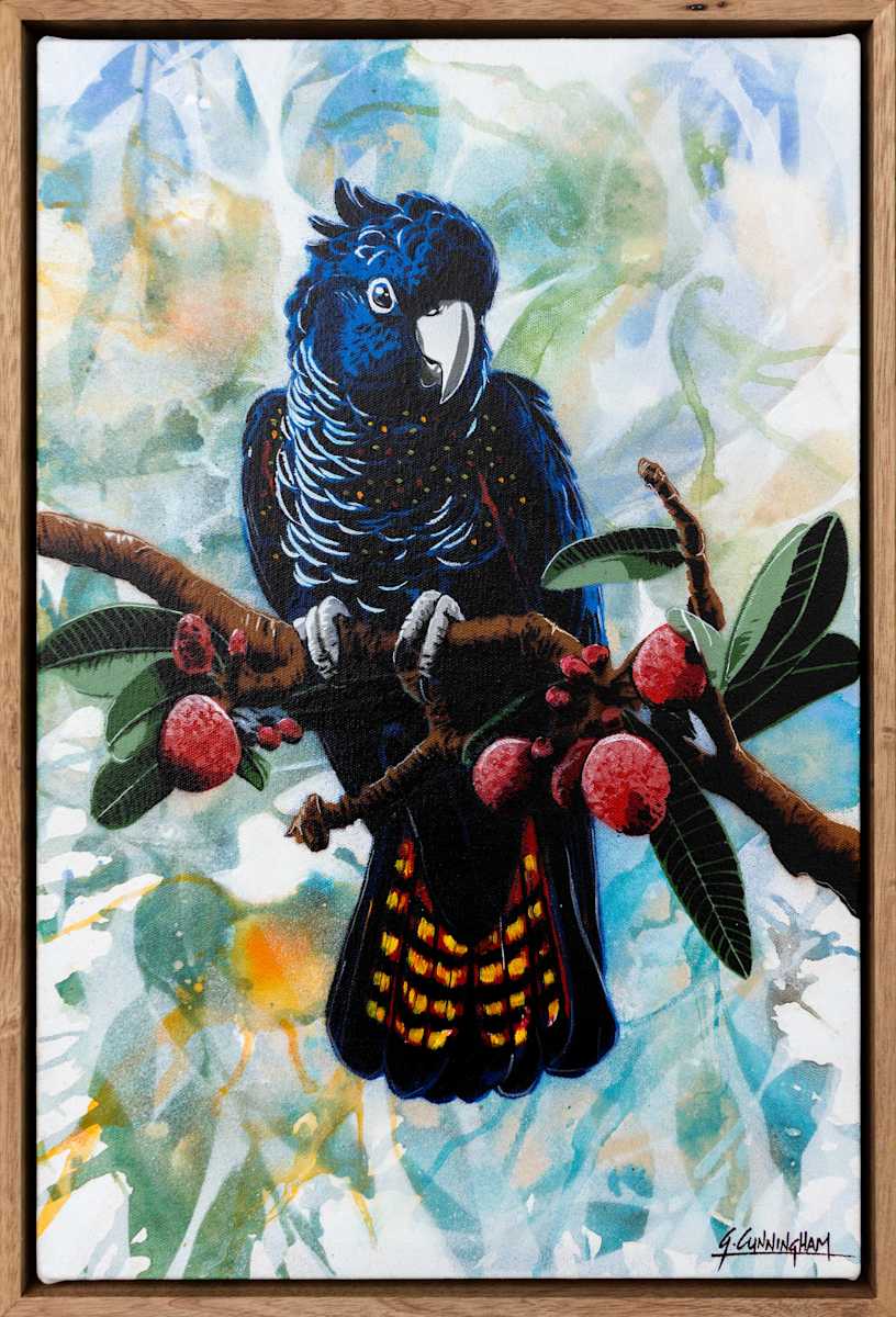Red Tailed Black Cocky by Geoff Cunningham, Image 4.