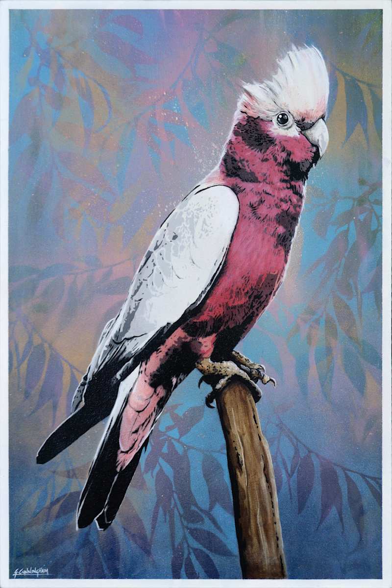 Cecil by Geoff Cunningham, Image 7.