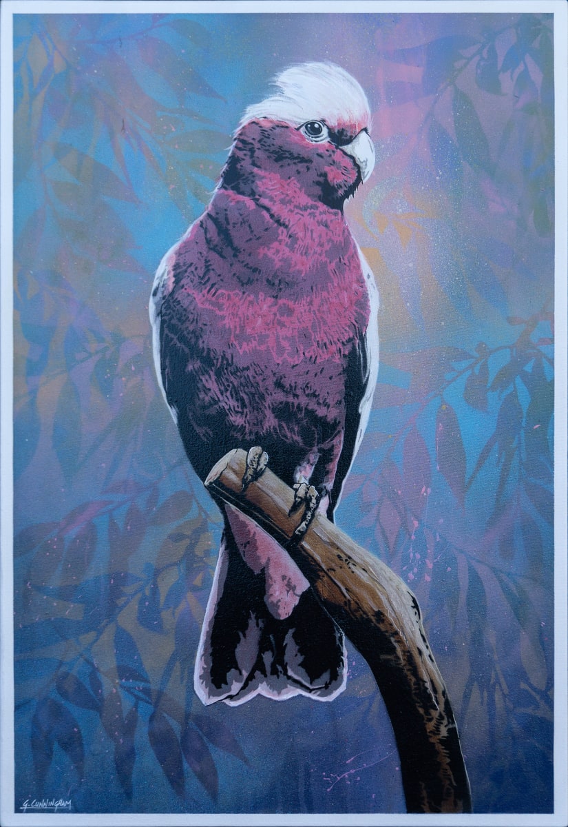 Cedric by Geoff Cunningham 