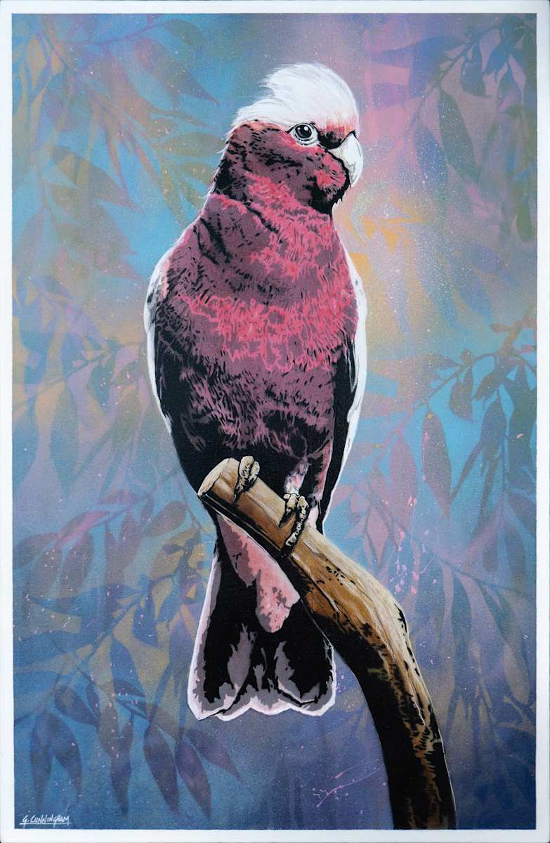 Cedric by Geoff Cunningham, Image 6.