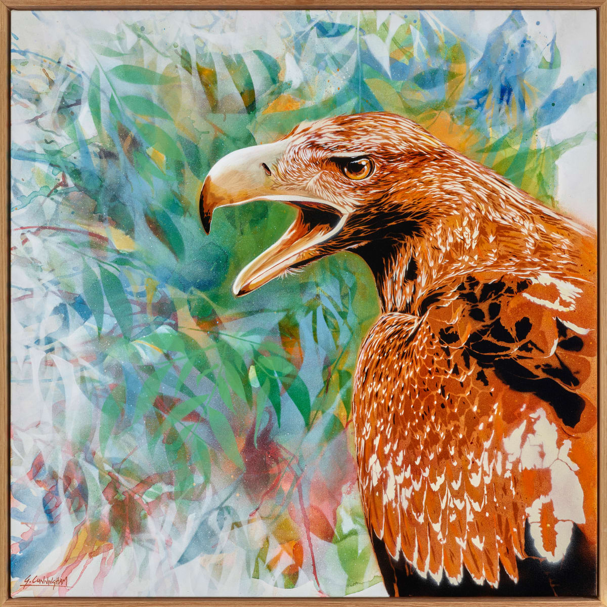 Eagle Eye by Geoff Cunningham 