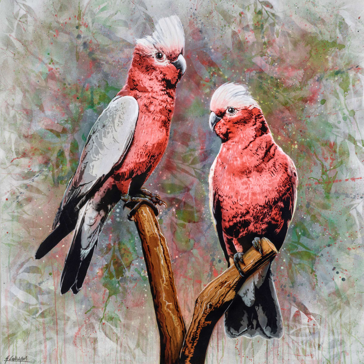 In The Pink by Geoff Cunningham 