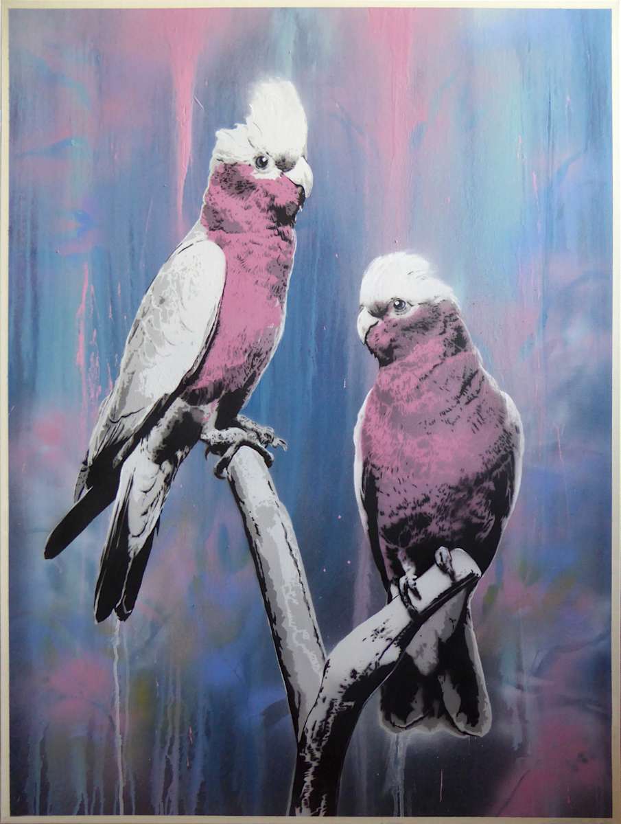 Pretty In Pink by Geoff Cunningham, Image 1.
