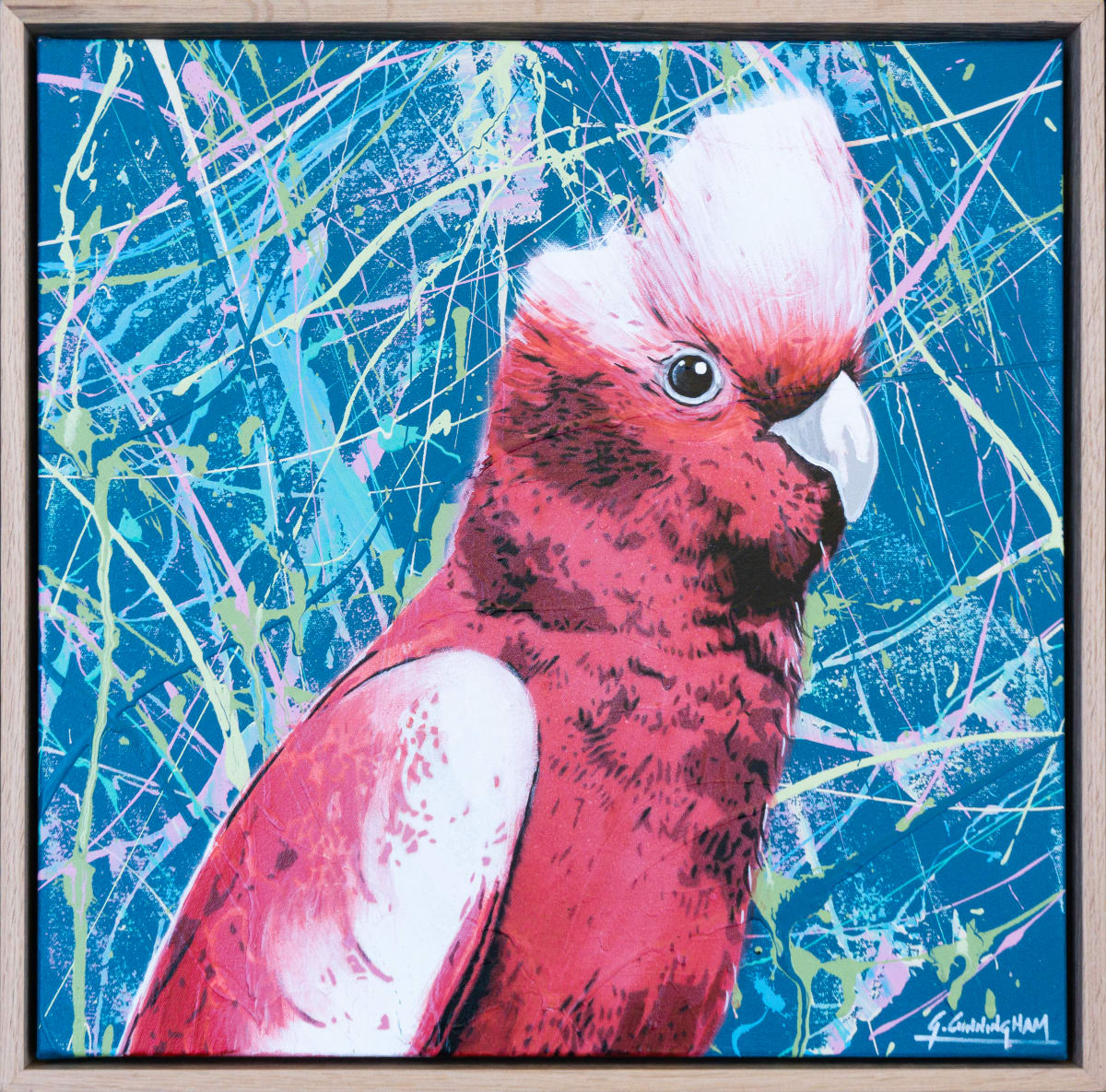 Silly Bloody Galah #2 by Geoff Cunningham  Image: Sometimes I need a change from doing streetscapes, so I turn to my secret love of birds. They are fun to paint, especially the Australian Galah as they have so much personality! 