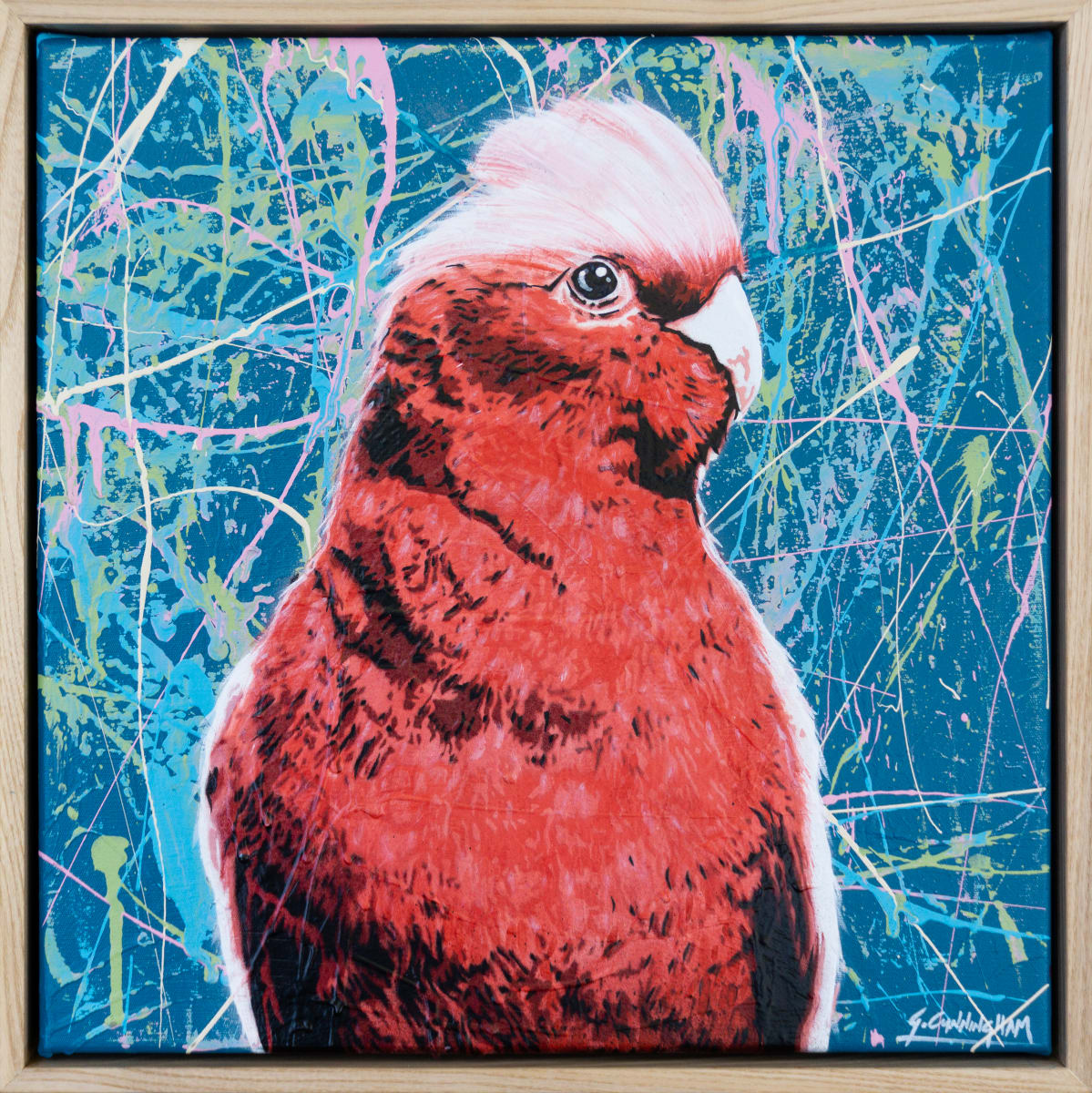 Silly Bloody Galah by Geoff Cunningham  Image: Sometimes I need a change from doing streetscapes, so I turn to my secret love of birds. They are fun to paint, especially the Australian Galah as they have so much personality! 