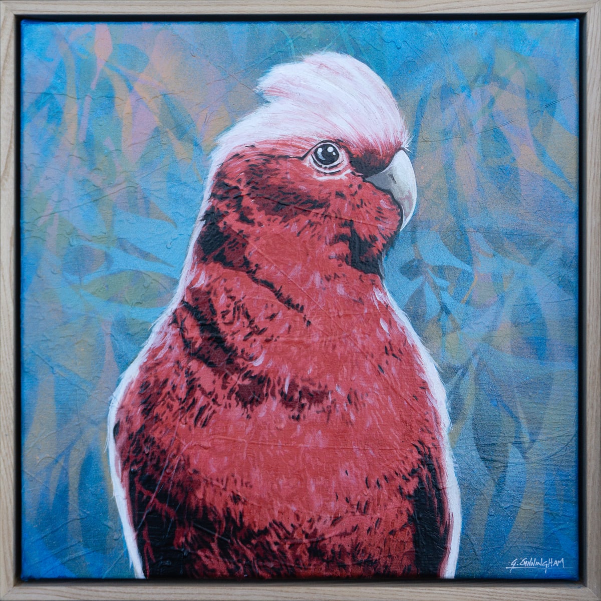 Silly Bloody Galah by Geoff Cunningham 