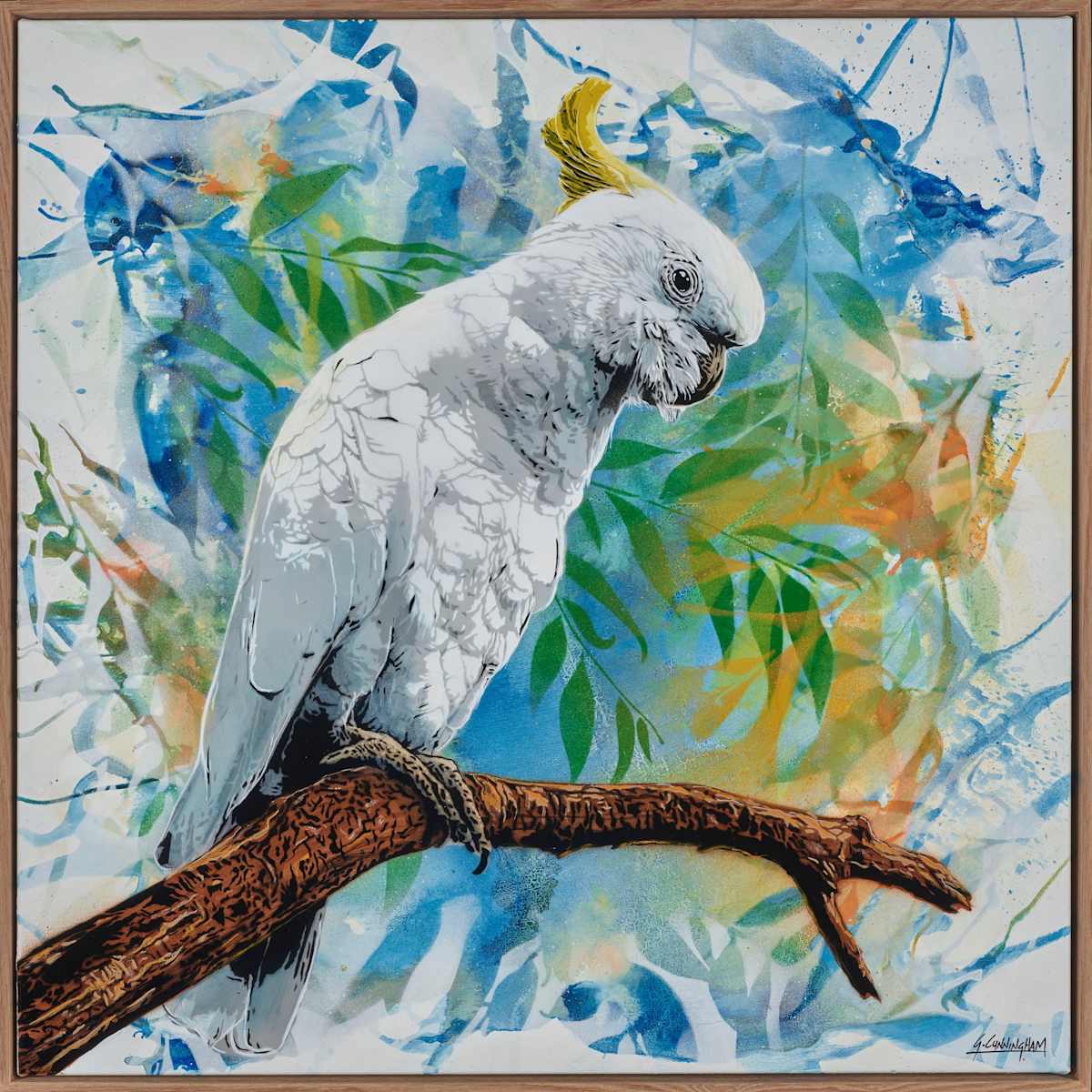 Sulphur Crested Cocky by Geoff Cunningham, Image 6.
