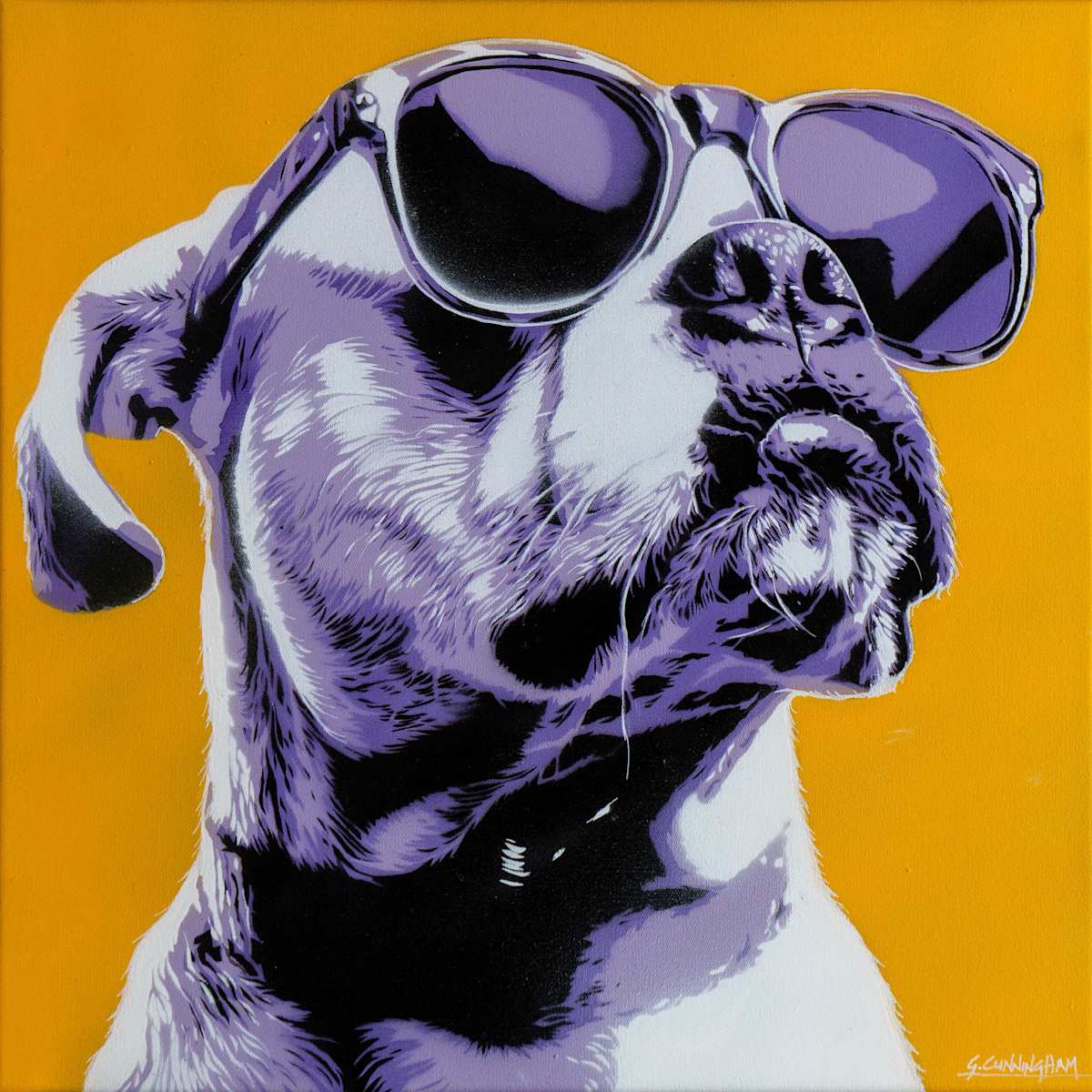 The Boxer by Geoff Cunningham, Image 10.