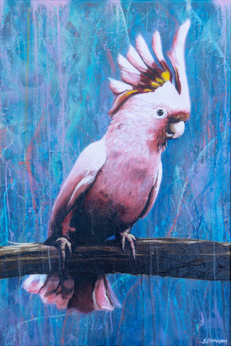 Who's A Pretty Boy? by Geoff Cunningham  Image: Sometimes I need a change from doing streetscapes, so I turn to my secret love of birds. They are fun to paint, especially Australian cockatoos as they have so much personality! This is a Major Mitchell cockatoo, which has recently been put on the endangered species list.