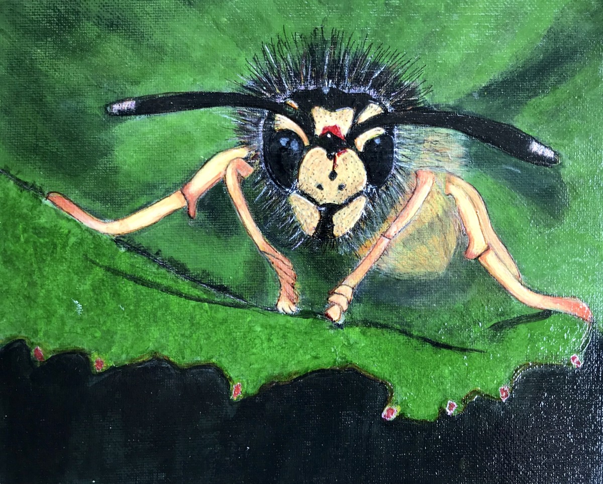 Macro Bee On Leaf by Debbi Estes 