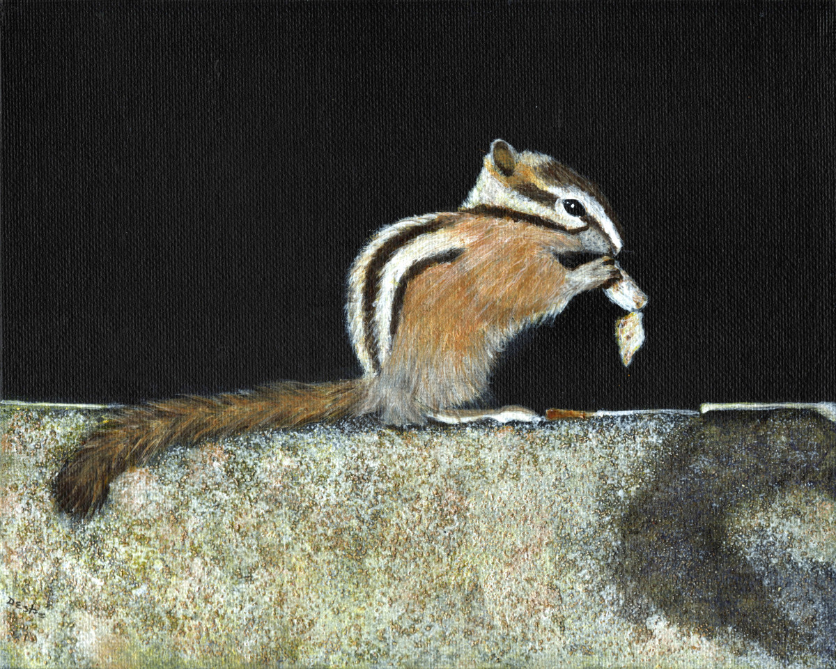 Chipmunk On Wall by Debbi Estes 