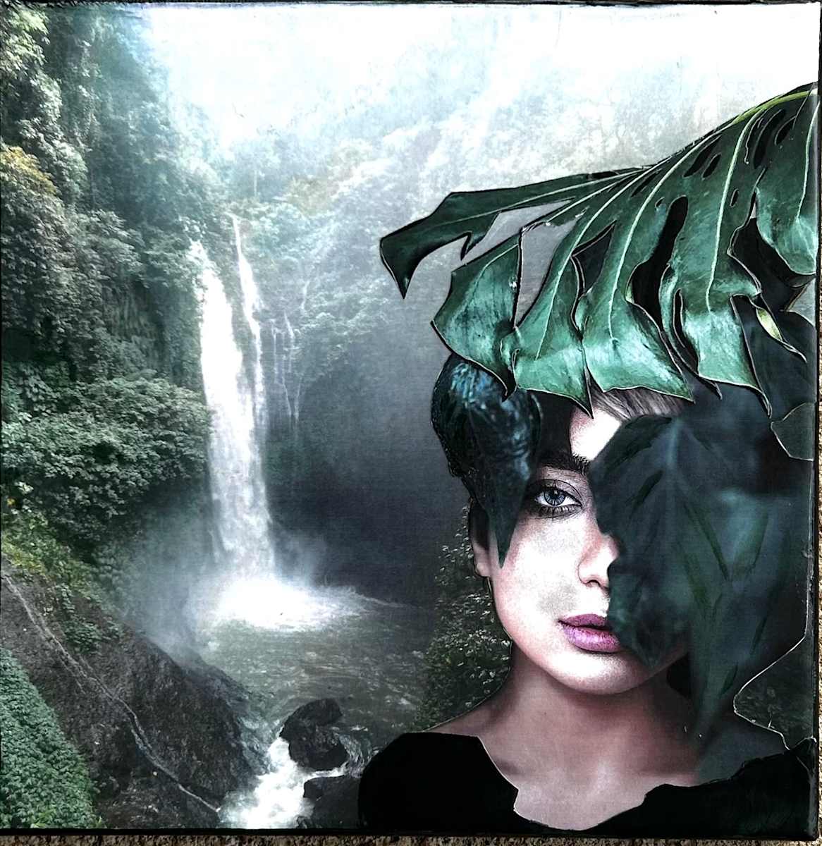 Into The Light by Debbi Estes, Image 1.