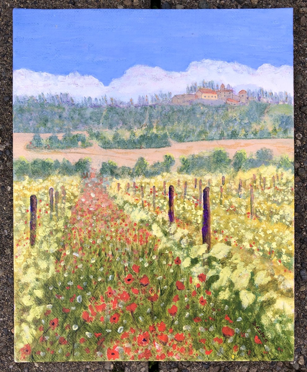 San Regolo de Bolio vineyard by Debbi Estes 